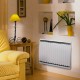 Radiateur électrique AIRELEC AIREDOU 2 DIGITAL HORIZONTAL 750W